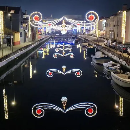 Romantic Flamingos - Beautiful View Over The Canal Aveiro