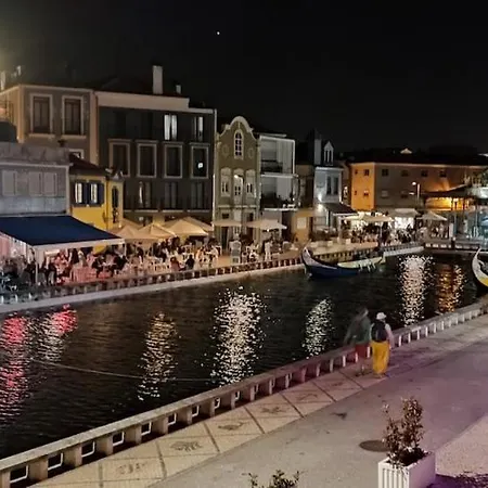 Romantic Flamingos - Beautiful View Over The Canal *